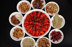探討復合調(diào)味料行業(yè)的發(fā)展趨勢